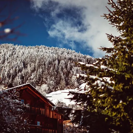 Prives De L'alpaga *