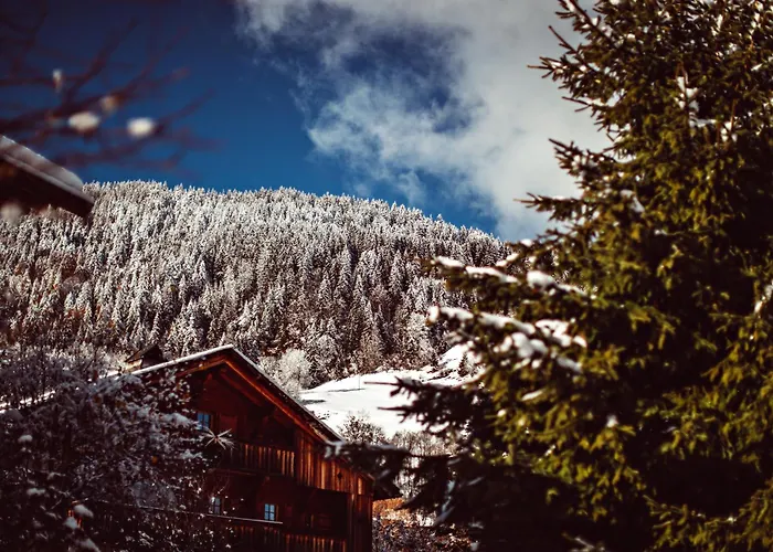 Prives De L'alpaga *